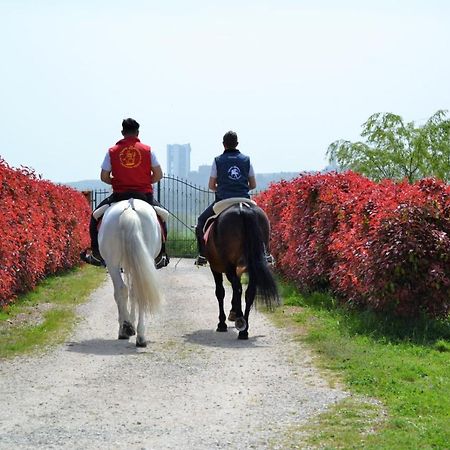 Vento Barocco - Equitazione E Turismo Villa Matera Buitenkant foto