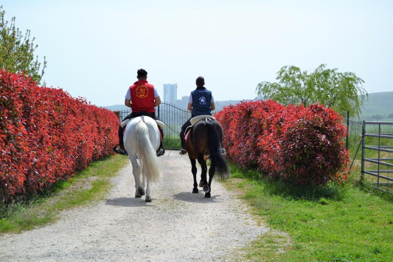 Vento Barocco - Equitazione E Turismo Villa Matera Buitenkant foto