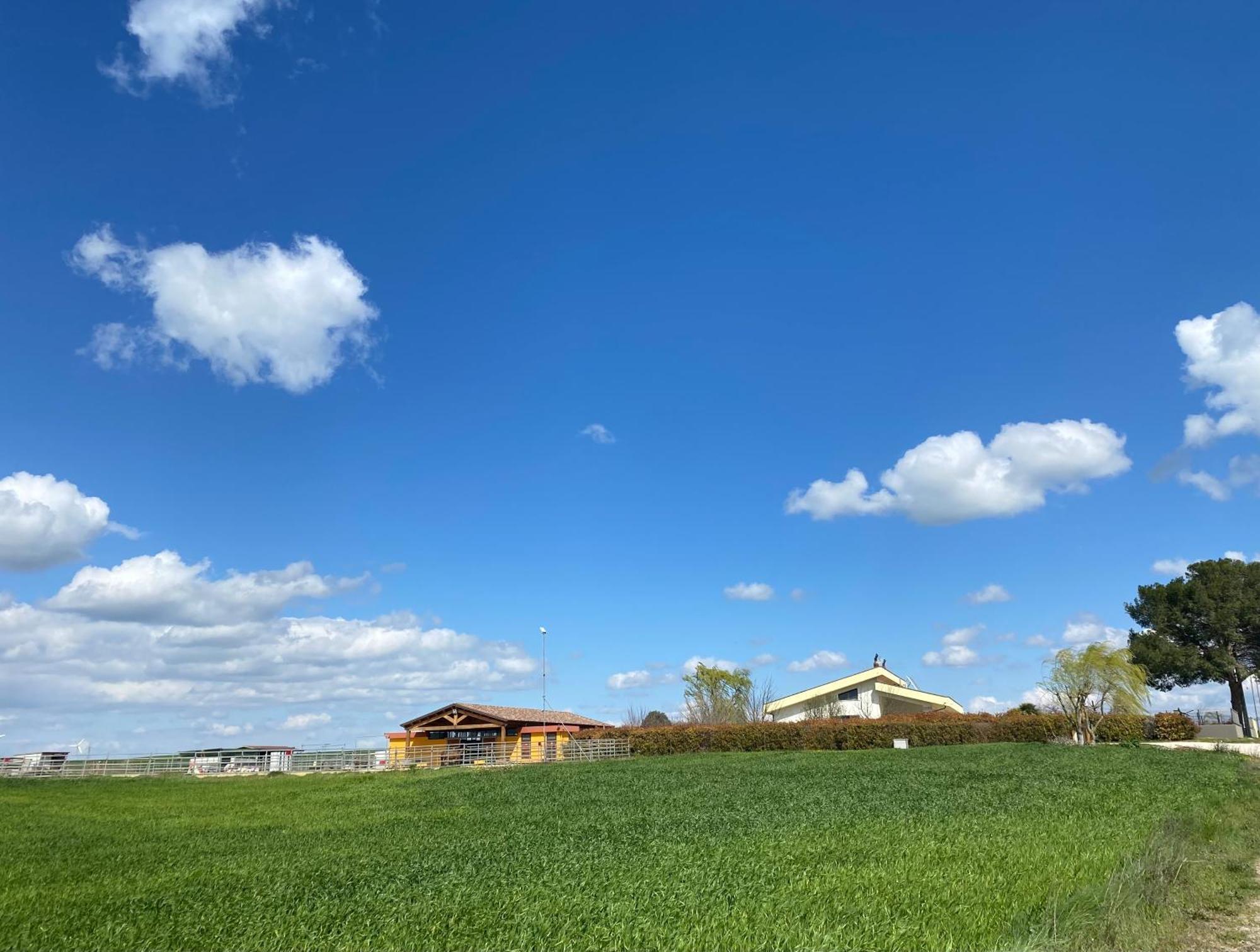 Vento Barocco - Equitazione E Turismo Villa Matera Buitenkant foto